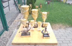 Więcej o: II Turniej Piłki Nożnej o Puchar Burmistrza Stawiszyna