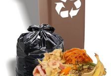 Więcej o: Odbiór odpadów biodegradowalnych