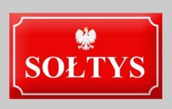 Więcej o: Ogłoszenie w sprawie wyborów sołtysów i rad sołeckich
