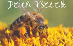 Więcej o: 8 sierpnia – Światowy Dzień Pszczół
