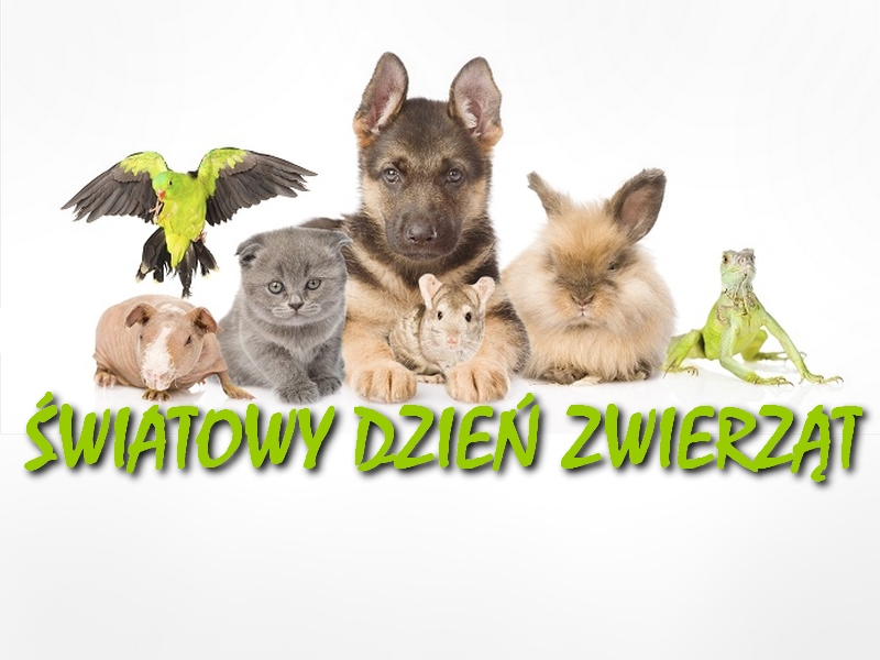 4 października – Światowy Dzień Zwierząt – Gmina i Miasto Stawiszyn