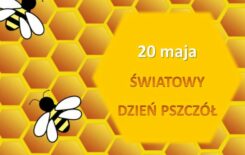 Więcej o: 20 maja – Światowy Dzień Pszczół