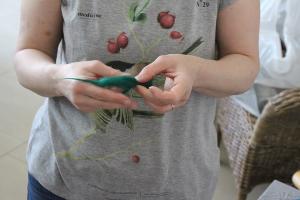 18814888 466671407014669 5348243663676342765 o