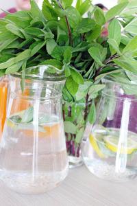 18881950 467007356981074 3281793064255499428 n