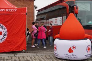 528203184 1129265269249350 6463762816099899582 n