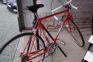 528245188 1129264729249404 6983546932568544701 n