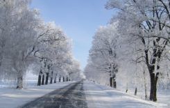 Więcej o: Zimowe utrzymanie dróg na terenie Gminy i Miasta Stawiszyn