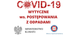 Więcej o: Wytyczne Ministra Klimatu i Głównego Inspektora Sanitarnego