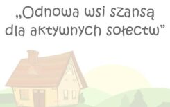 Więcej o: Dofinansowanie dla Gminy i Miasta Stawiszyn